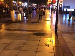 -WFC会仙楼观景台