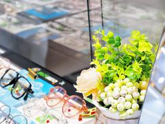 -臻美视爵眼镜·明月·依视路·蔡司折扣店(广渠门店)