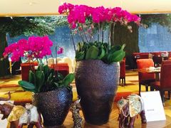-宁波东港喜来登酒店