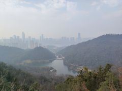 -桃花岭景区