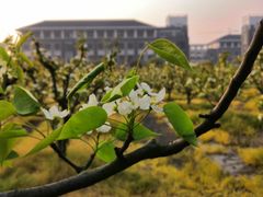 -上海海洋大学(临港校区)