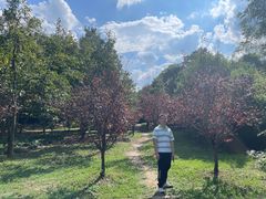 -贵阳市花溪国家城市湿地公园