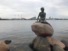 -美人鱼