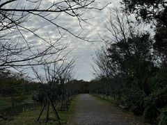 -上海海湾国家森林公园