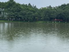 -番禺大夫山森林公园