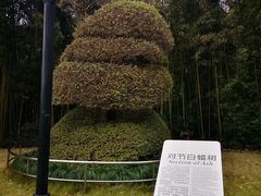 -苏州河梦清园环保主题公园