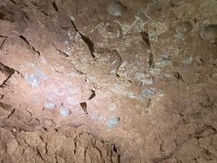 -西峡恐龙遗迹园