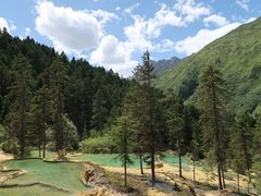 -黄龙山原始森林景区