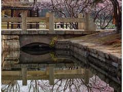 -三里河公园