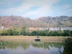 -千年银杏谷文化旅游区