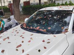 -刘嘉俊视光工作室