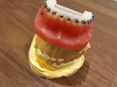 -齐玉齿科JADENTAL