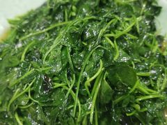 -上海羊肉馆(泰宸苑店)