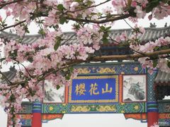 -樱花山风景区