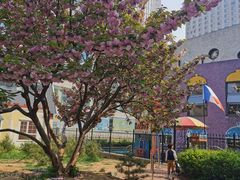 -伊顿幼儿园(济南大地锐城校区)