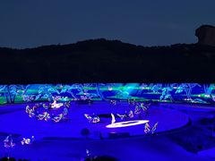 -鼎盛王朝康熙大典实景演出