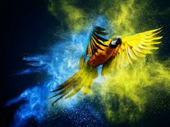 -棒棒糖量贩式KTV