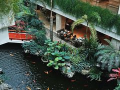 -广州白天鹅宾馆