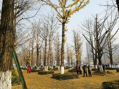 -百林公园-两江幸福广场
