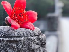 -广东温泉宾馆