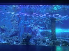 -哈尔滨波塞冬海底世界