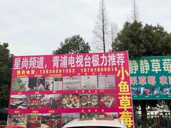 -小鱼草莓采摘园农家乐·小鱼餐厅