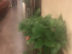 -山泉公馆酒家(珠江新城店)