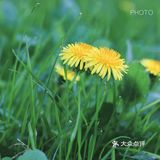 小妞在此 | 今春