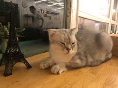 -小时光咖啡馆(北锣鼓巷店)