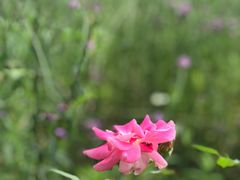 -杭州城北体育公园