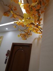 -芳朵美容养生SPA