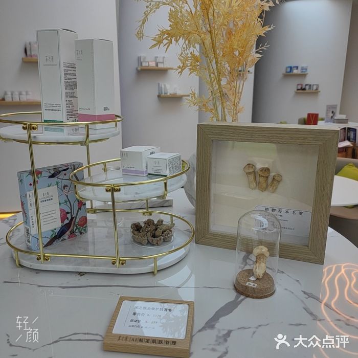 采之汲·云南白药集团(1903店)图片