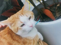 -小时光咖啡馆(北锣鼓巷店)