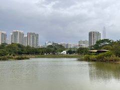 -福田红树林生态公园