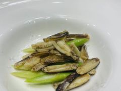 -新光酒家·河豚·海鲜·蟹料理(浦东店)