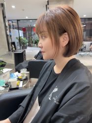 -蚂蚁造型俱乐部