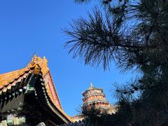 -颐和园