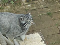 -青藏高原野生动物园