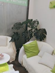 -凡碧诗毛孔清洁收细