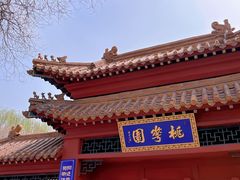 -桃花堤公园