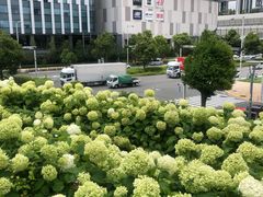 -台场海滨公园船码头