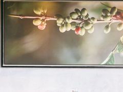 -星巴克臻选(上海长风大悦城店)