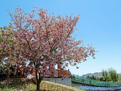 -羊亭河湿地公园