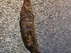 -老表记广西宵夜螺蛳鸭脚煲(西大店)