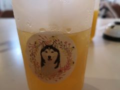 -Husky Go! 哈士奇体验馆·宠物咖啡厅狗咖