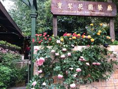 -宝翠花园餐厅(沙湖店)