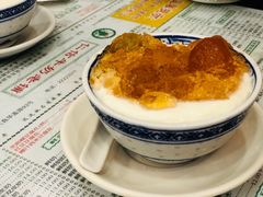 桃胶双皮奶-仁信老铺(华盖路店)