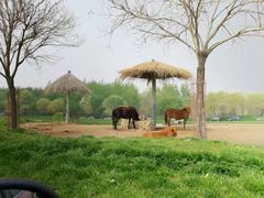 -北京野生动物园