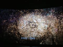 -武商摩尔影城(国广IMAX激光店)