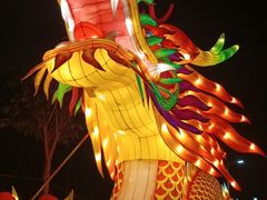 -琅岐红光湖公园